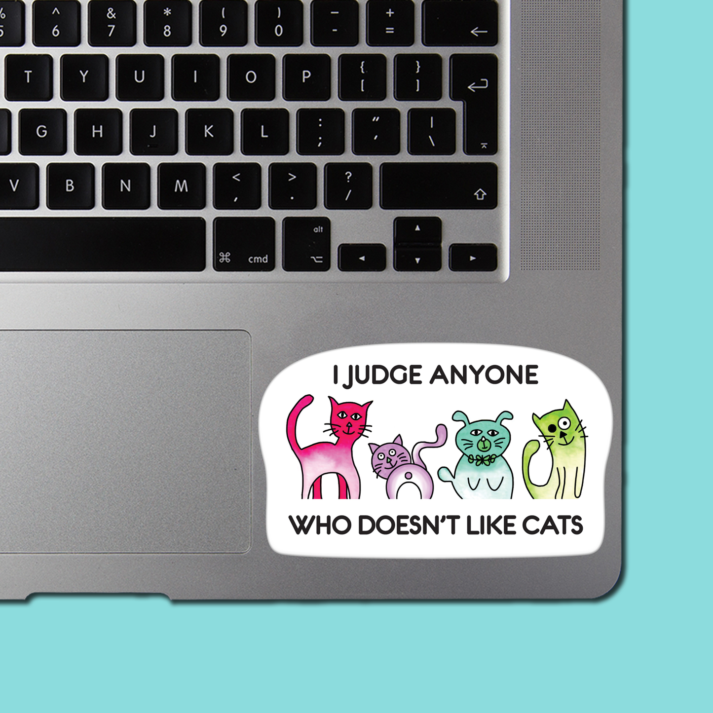 I Judge Anyone Who Doesn't Like Cats - Funny Cat STICKER