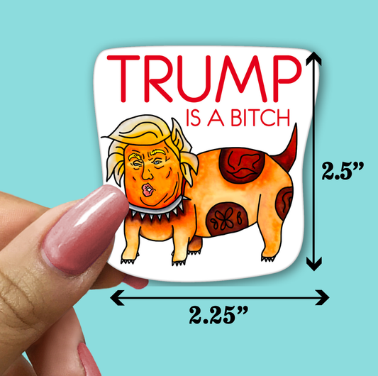Trump Is A Bitch Sticker - Funny Sarcastic Vinyl Sticker for Laptop, Phone and More