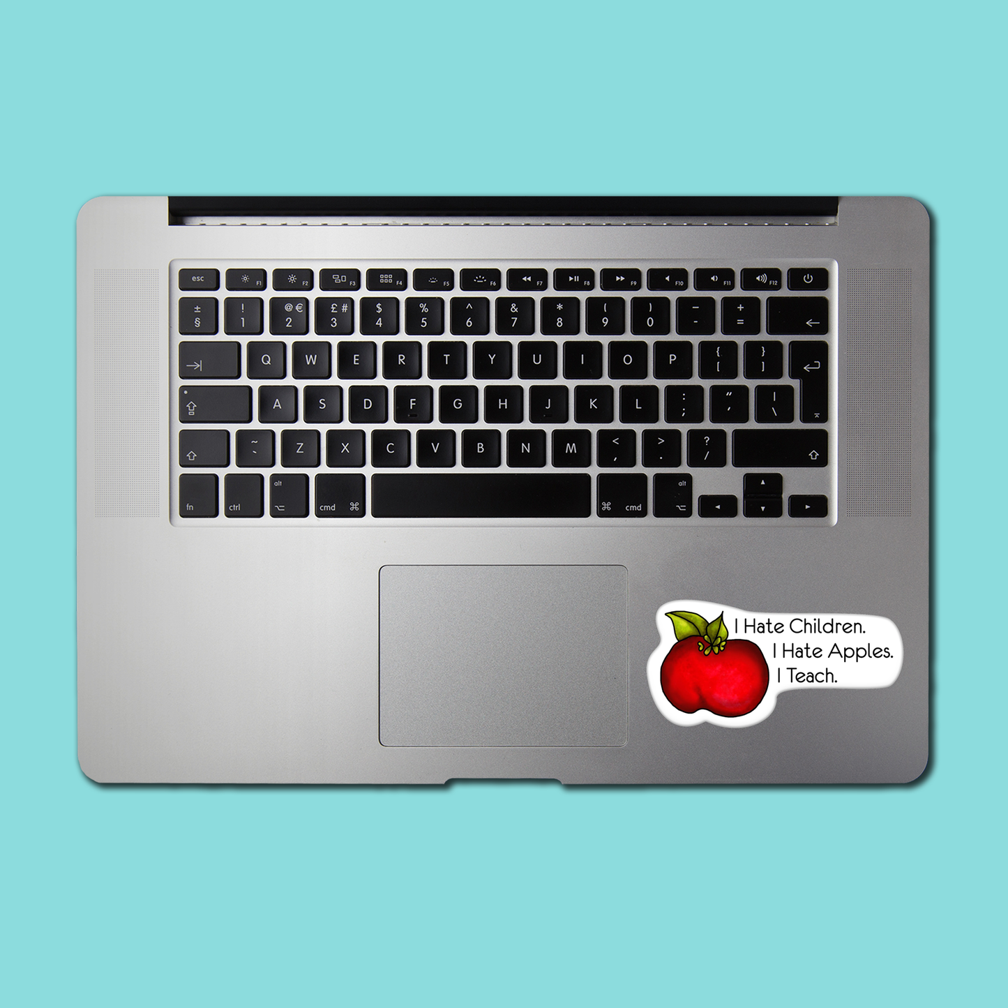 I Teach and Hate Children STICKER