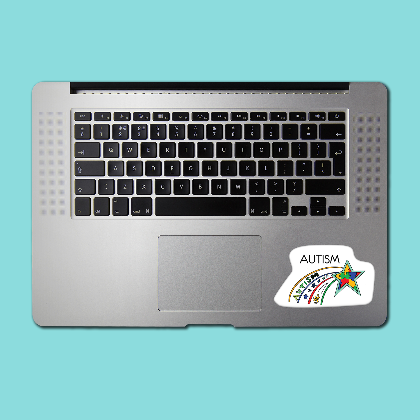 Autism STICKER