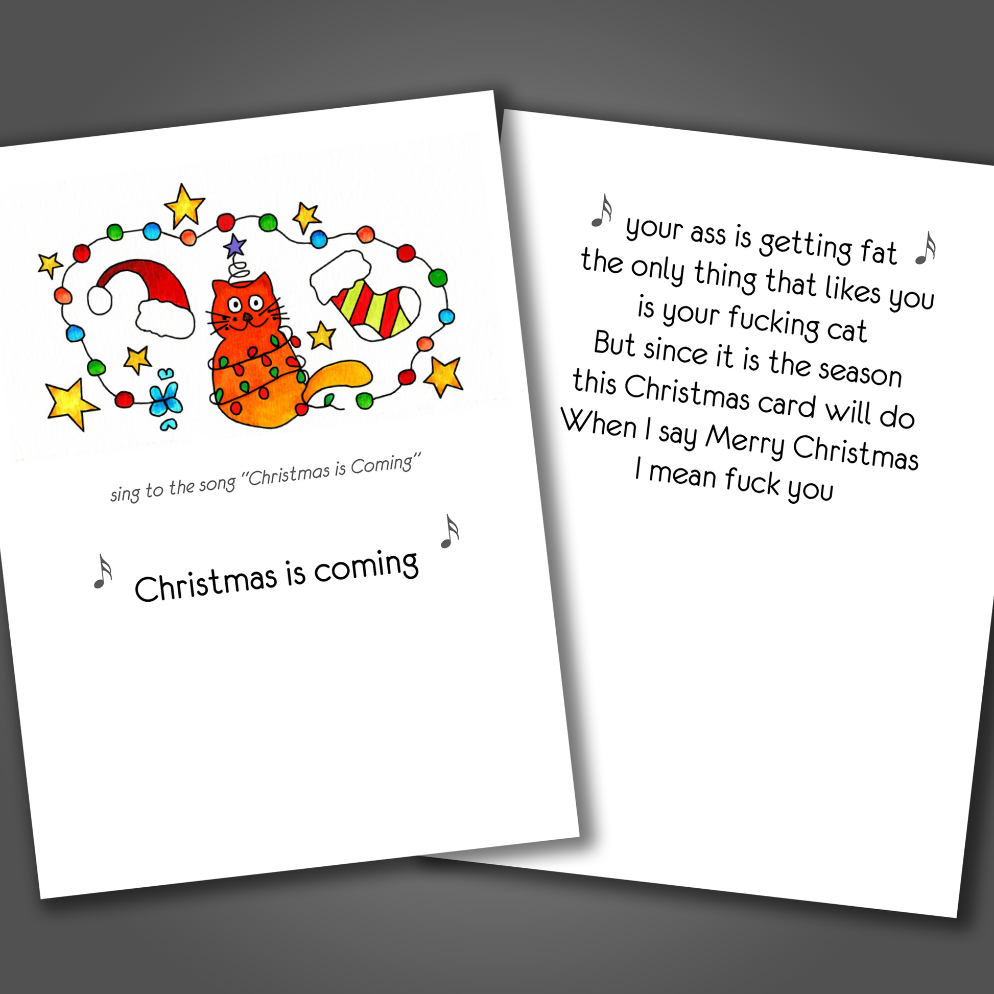 Funny Christmas card with lights and a cat on the front of the card. Inside the card is a funny joke that ends in fuck you.