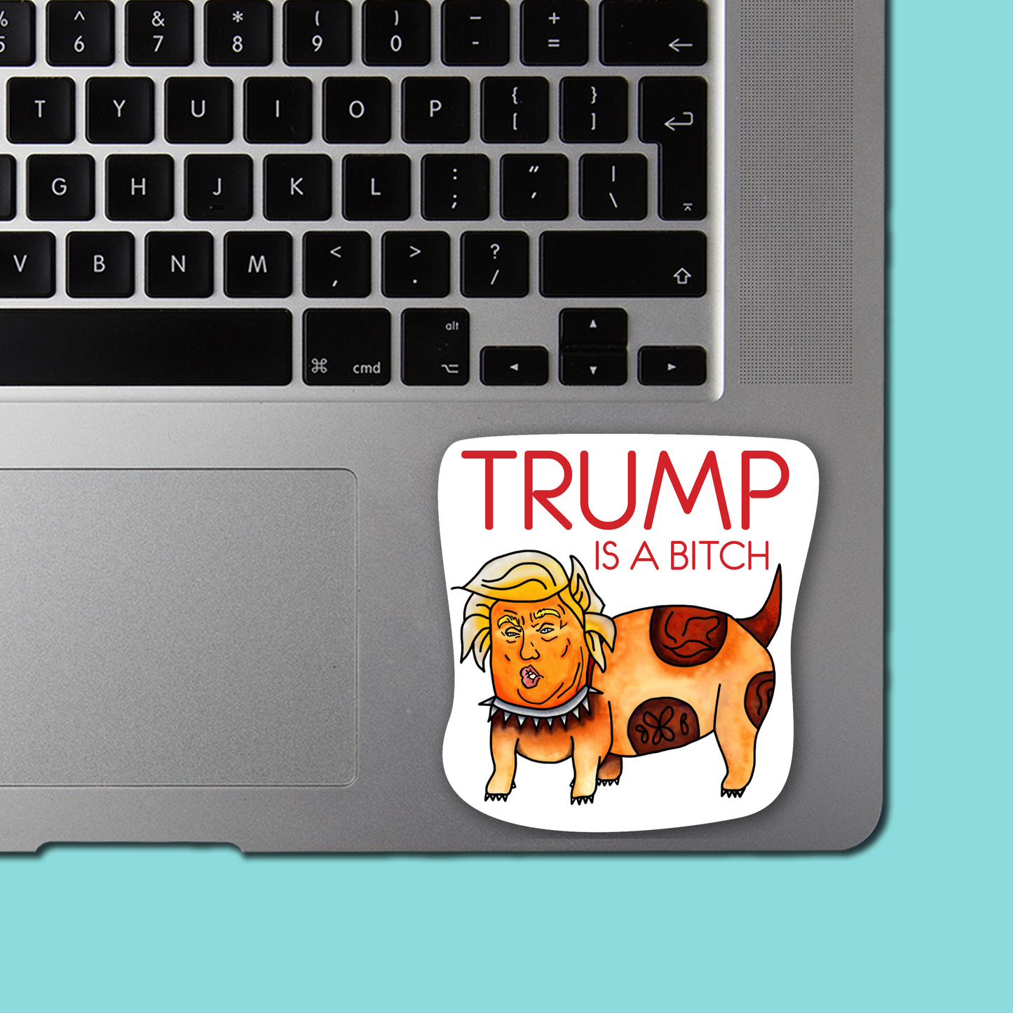 Trump Is A Bitch Sticker - Funny Sarcastic Vinyl Sticker for Laptop, Phone and More