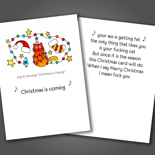 Funny Christmas card with lights and a cat on the front of the card. Inside the card is a funny joke that ends in fuck you.